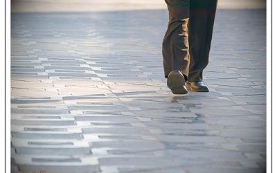 Real Decreto 894/2014 - Formación de la Función Directiva