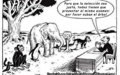 Proyecto Roma (I). Introducción y primera sesión