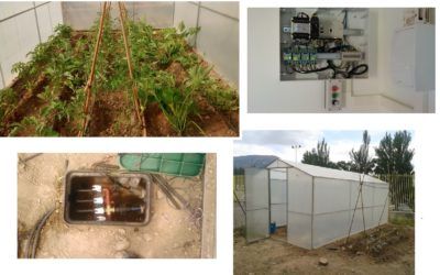 Proyecto Roma (V). Presentaciones y evaluación final.