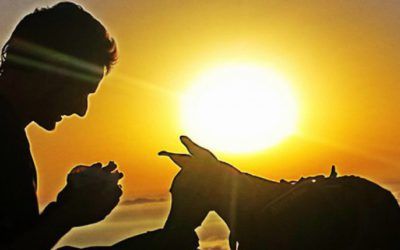 Reflexiones y propósitos 2015-2016