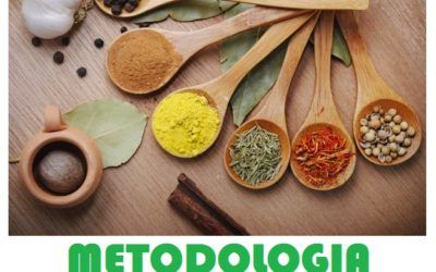 Una única estructura y tres desarrollos metodológicos distintos. Programación didáctica