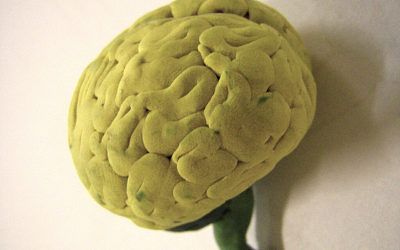 Conocerse a una mismo