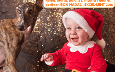 Feliz Navidad y próspero año nuevo!!