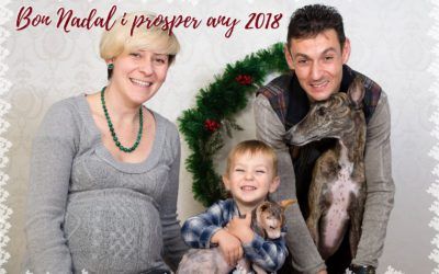 Feliz Navidad y próspero año 2018