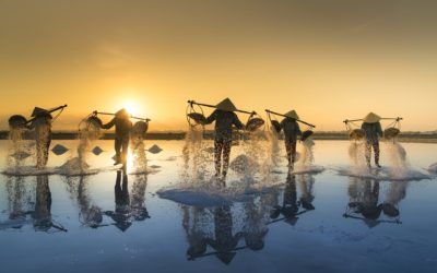 ¡A mitad del camino; momento de reflexionar!