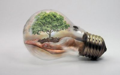 Transversalidad de los aprendizajes