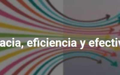 EfectiVida