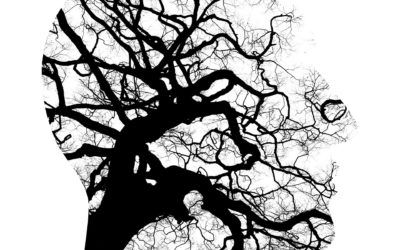 Neurociencia para educadores