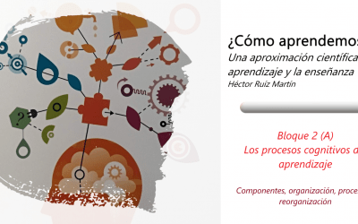 Los procesos cognitivos del aprendizaje (A)