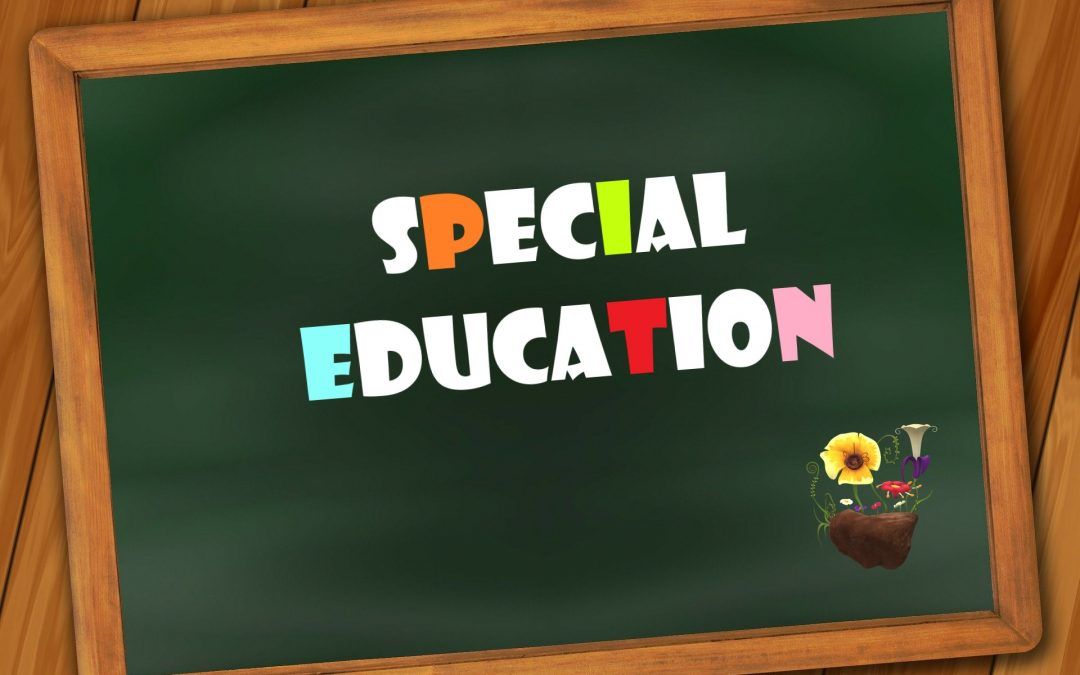 Educación "especial". Centros y aulas específicas