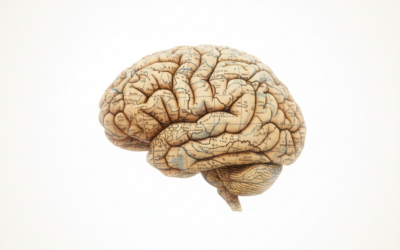 «Usted se encuentra aquí»: El viaje como desplazamiento mental